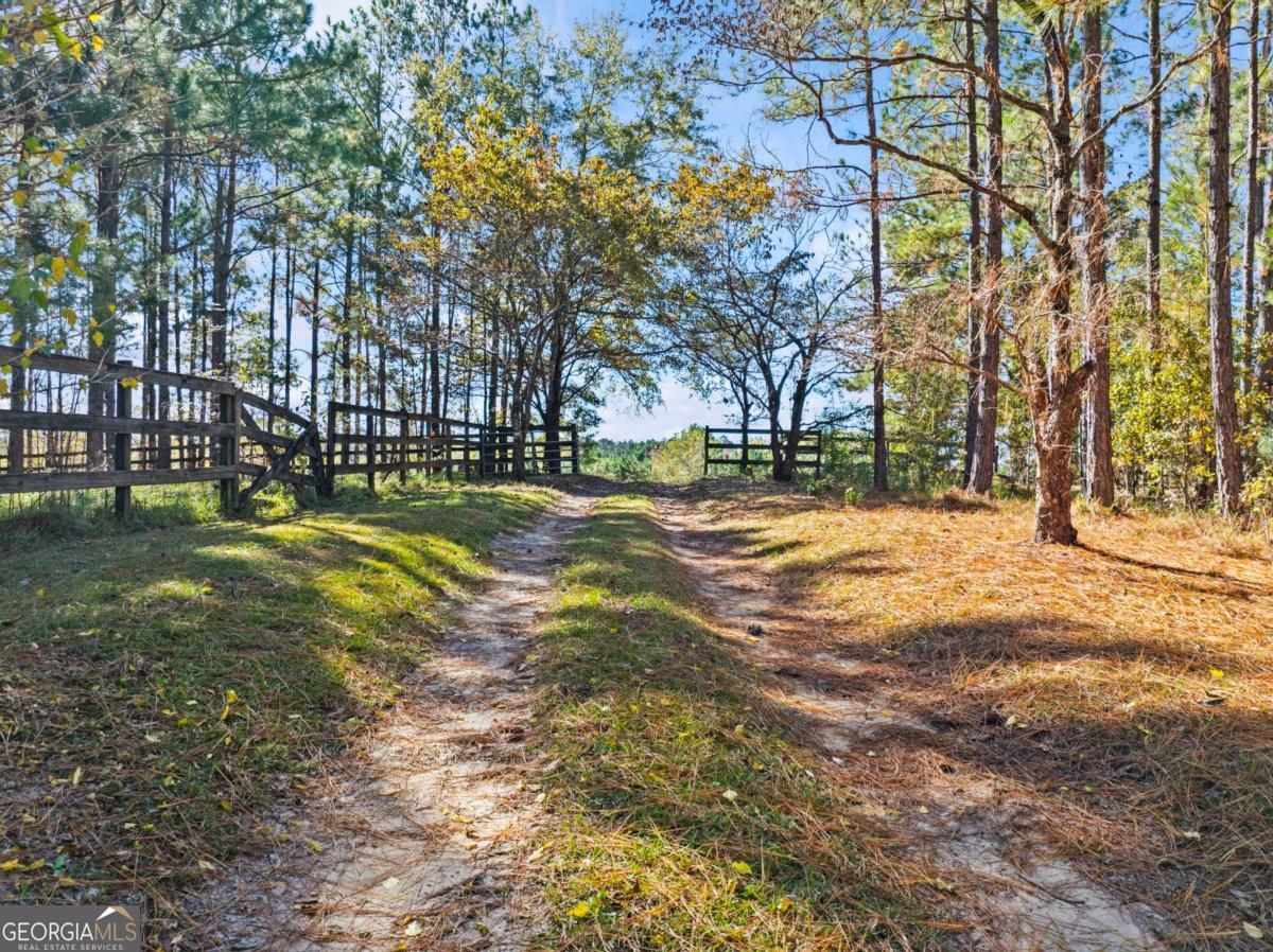 140 Jack Road Fitzgerald, GA 31750 - Photo 52 of 55 a view of road with trees