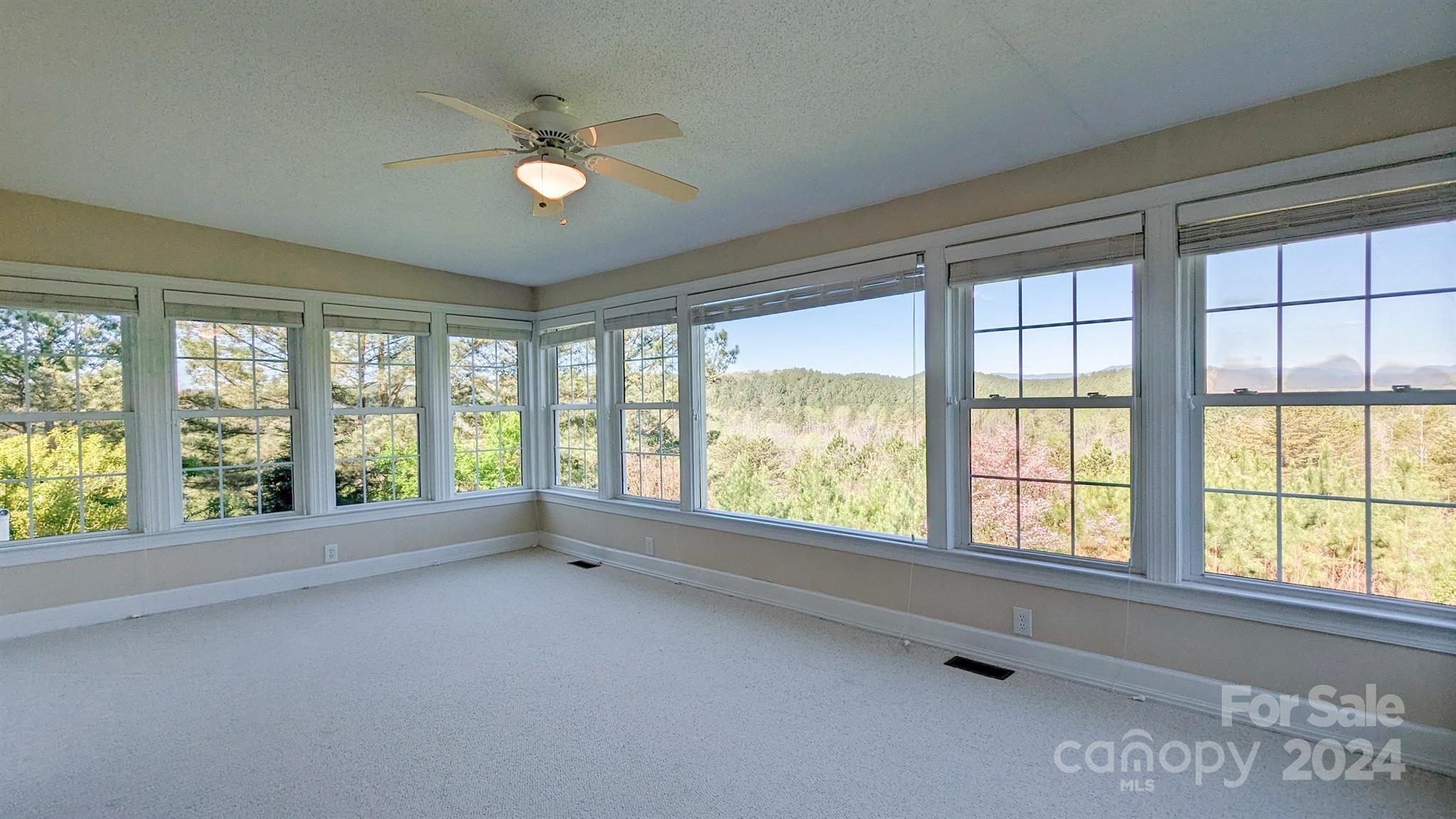 156 Eagle Lane Rutherfordton, NC 28139 - Photo 16 of 40 Gallery Image 16