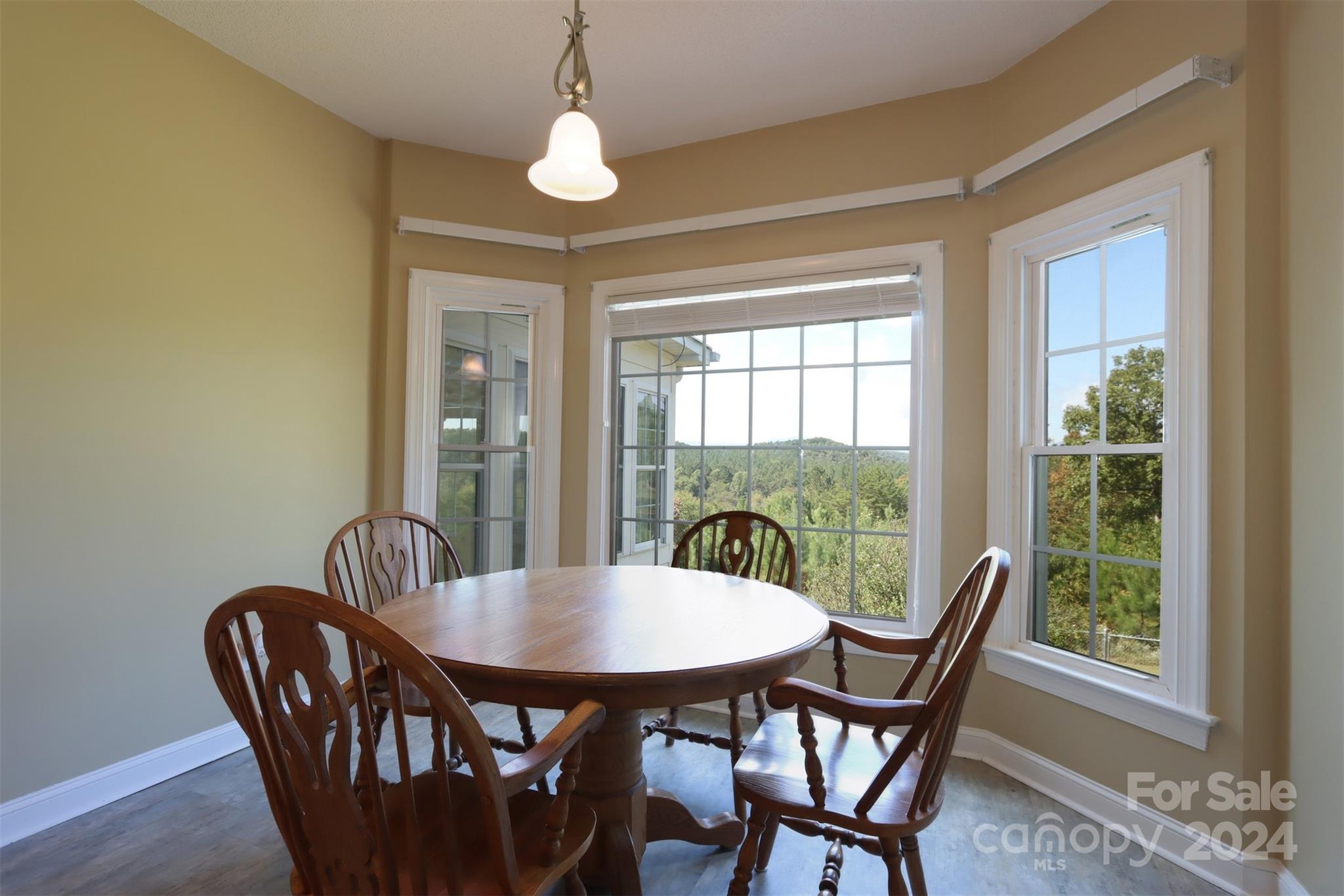 156 Eagle Lane Rutherfordton, NC 28139 - Photo 19 of 40 Gallery Image 19