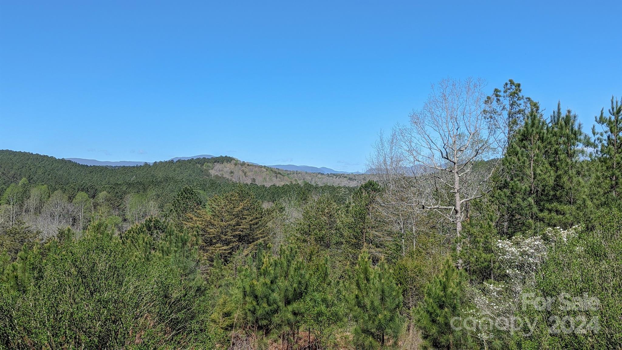 156 Eagle Lane Rutherfordton, NC 28139 - Photo 8 of 40 Gallery Image 8