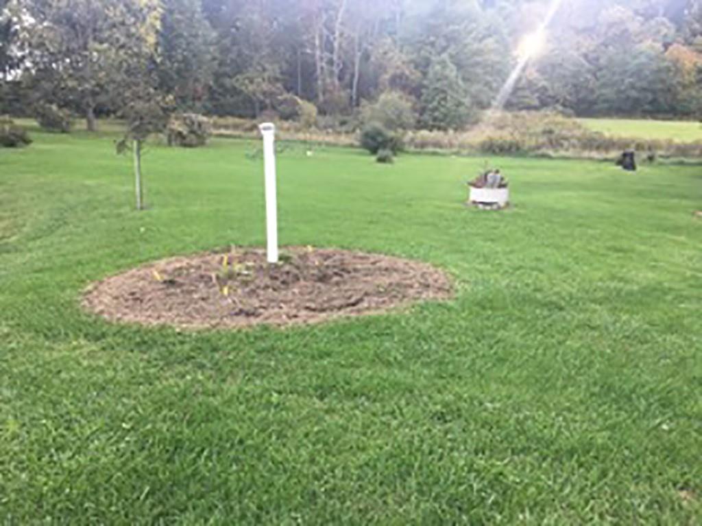 818 Barclay Road Indiana, PA 15701 - Photo 15 of 15 a view of a backyard with green space