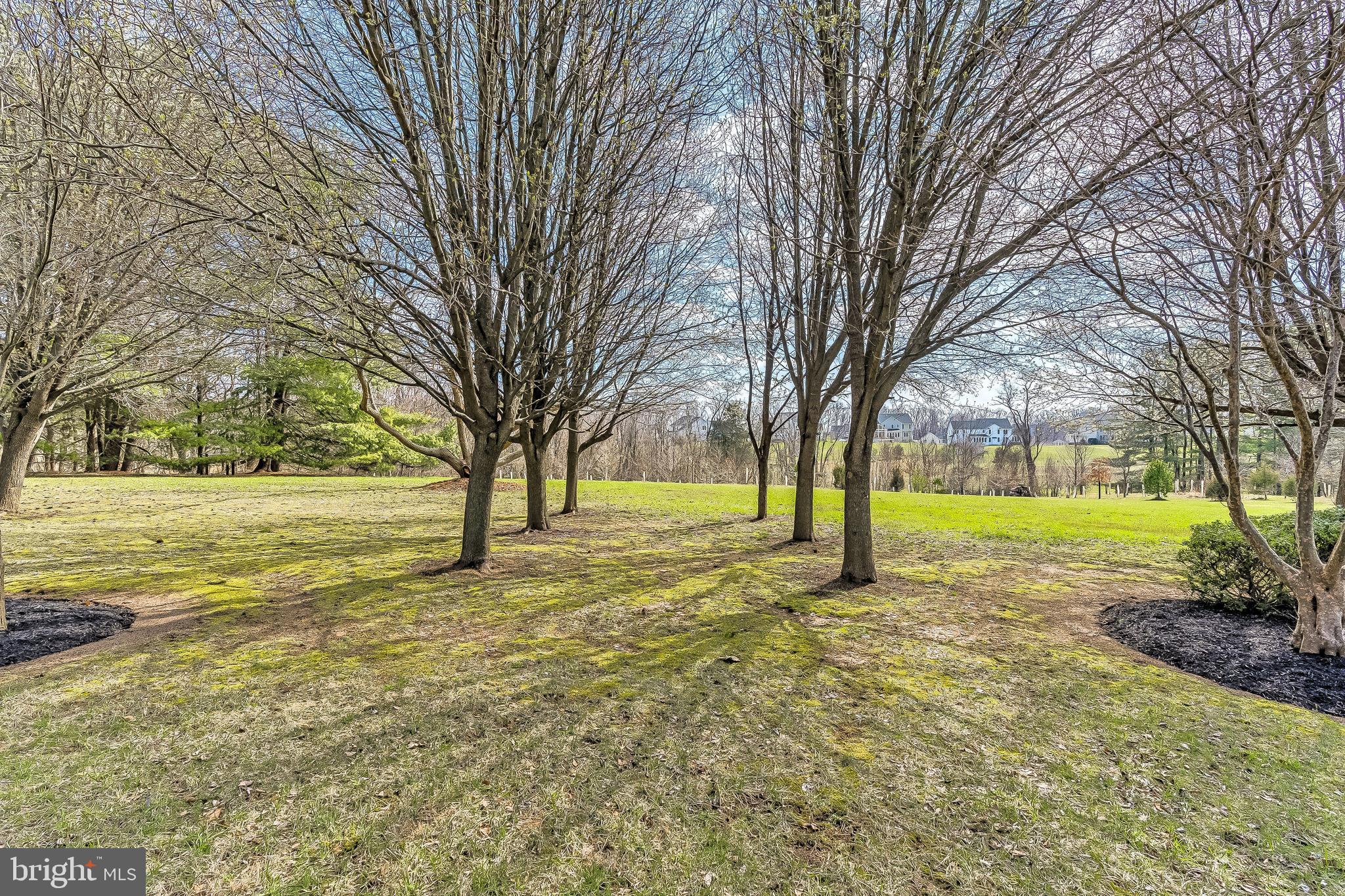 2159 McKendree Road West Friendship, MD 21794 - Photo 65 of 75 Backyard View
