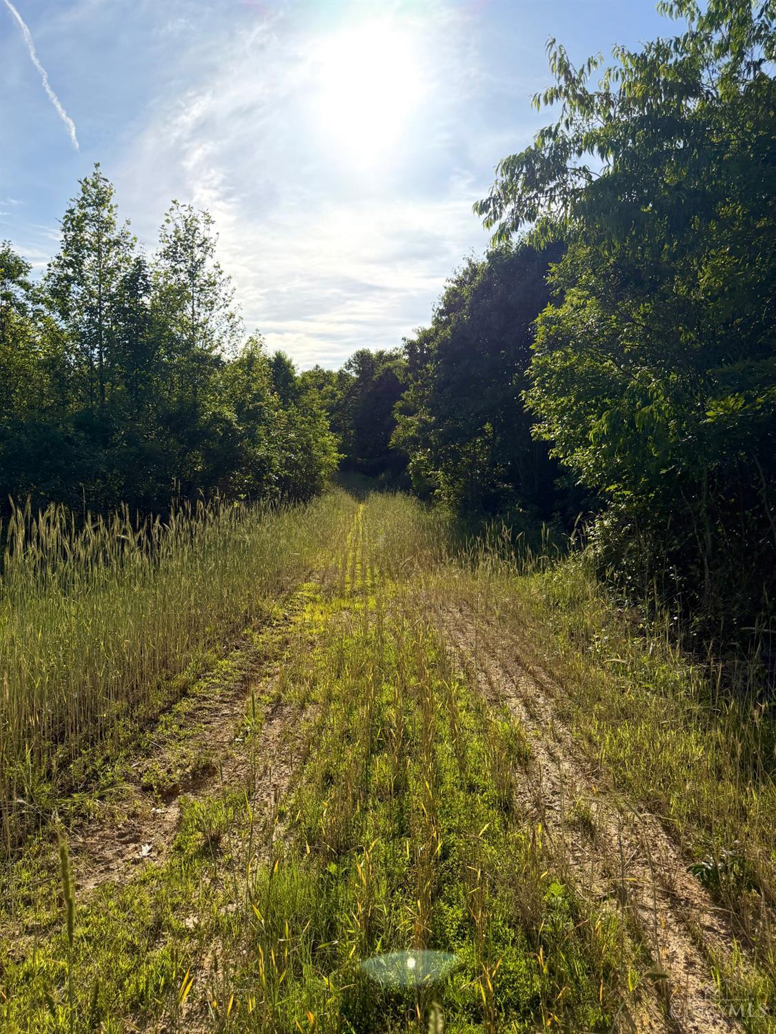 0 Lick Run-Lyra Road South Webster, OH 45682 - Photo 26 of 99 Gallery Image 26