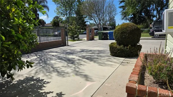 a view of a yard with plants and trees