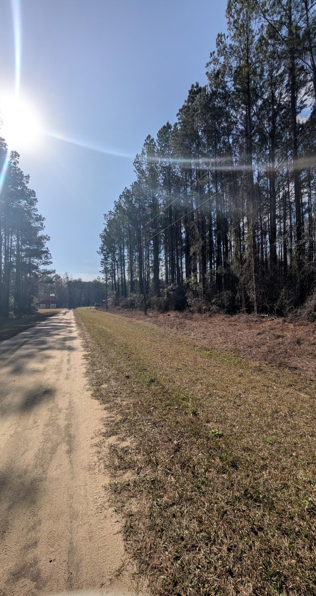 0 Craft Round O, SC 29474 - Photo 3 of 4 PXL_20250315_142703635.MP~2