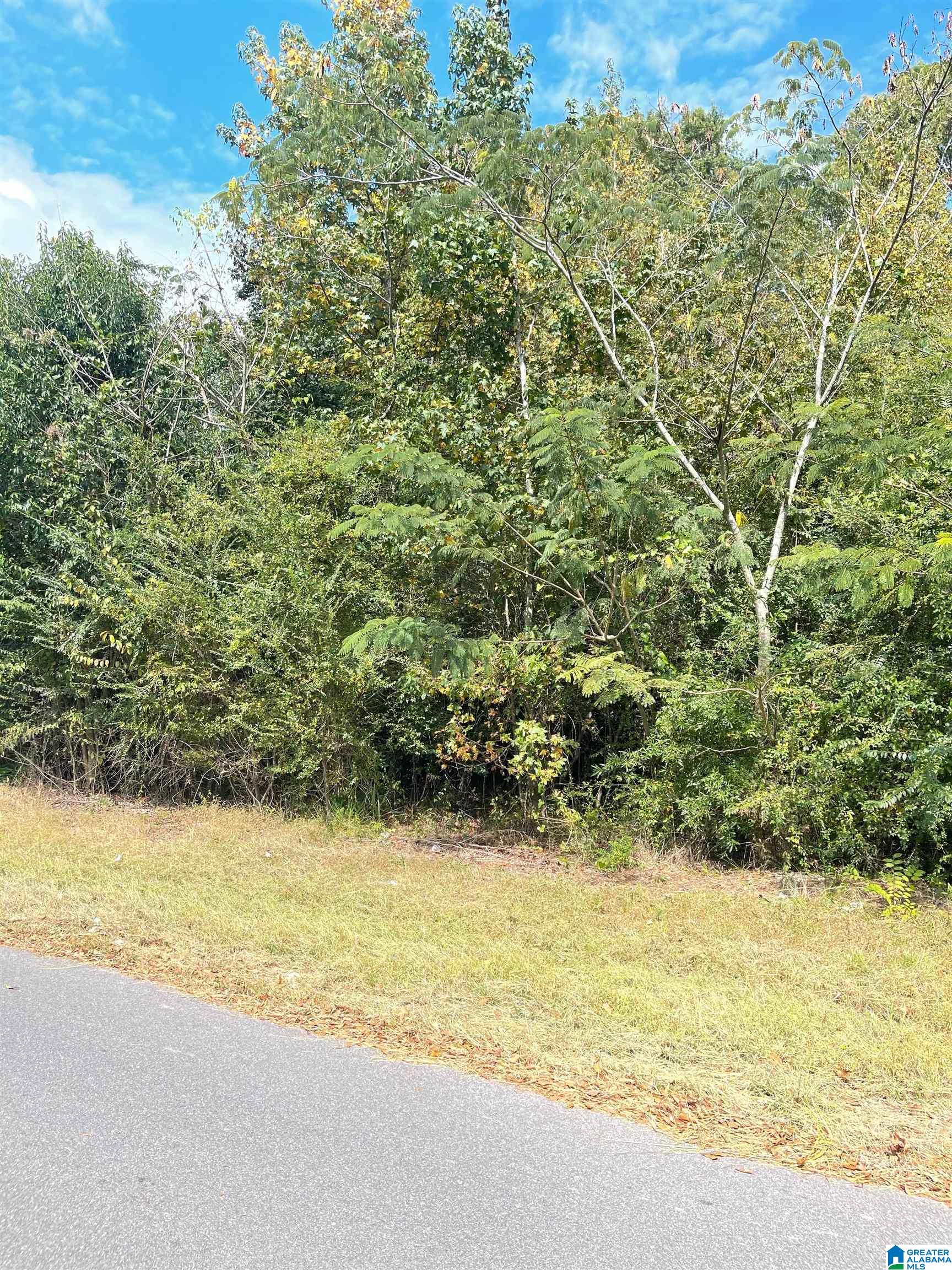 Heritage Road, Unit 12 Shelby, AL 35143 - Photo 4 of 4