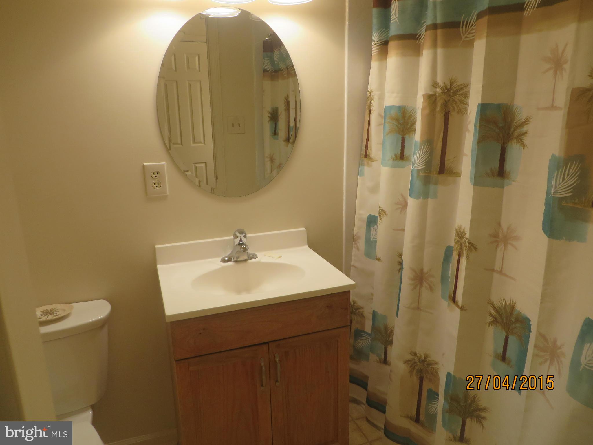 3435 Mt Burnside Way Woodbridge, VA 22192 - Photo 17 of 30 Bath (Master)