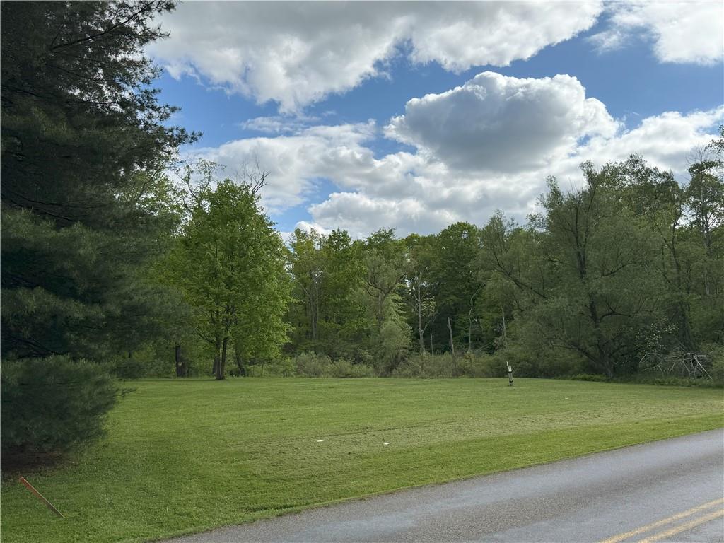 a view of a golf course with a lake