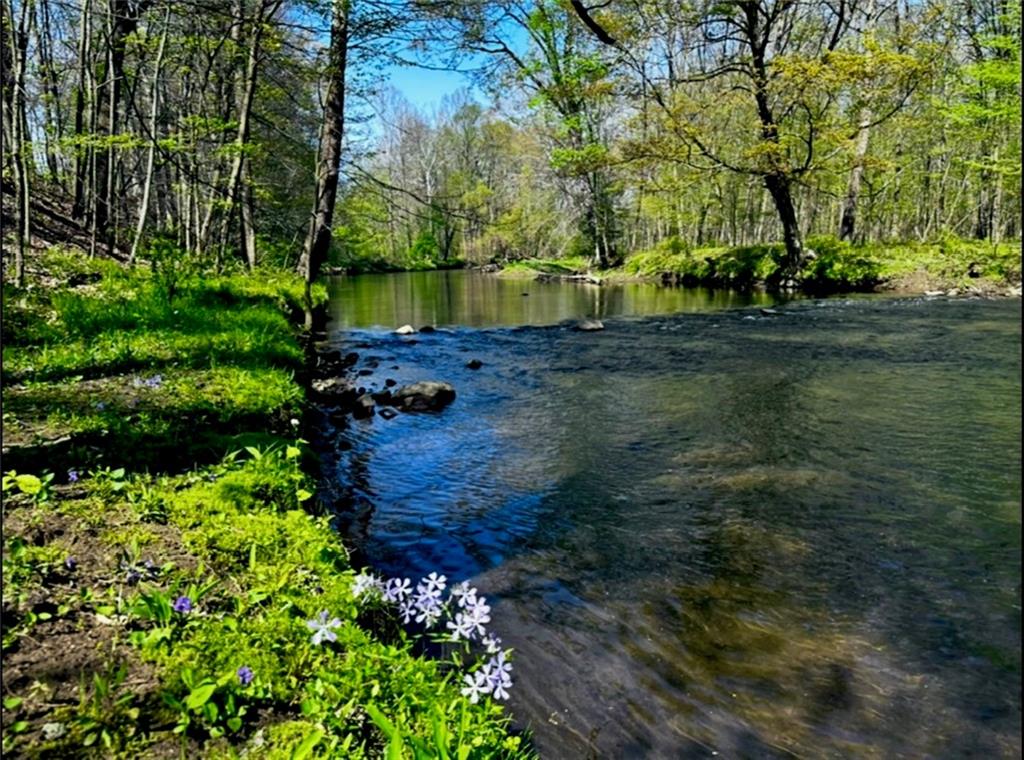 *** Airport Road Grove City, PA 16127 - Photo 2 of 5 a view of a yard with large trees