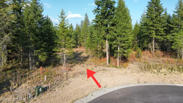 $318,000 | 1 Wendland Way, Spirit Lake, ID 83869