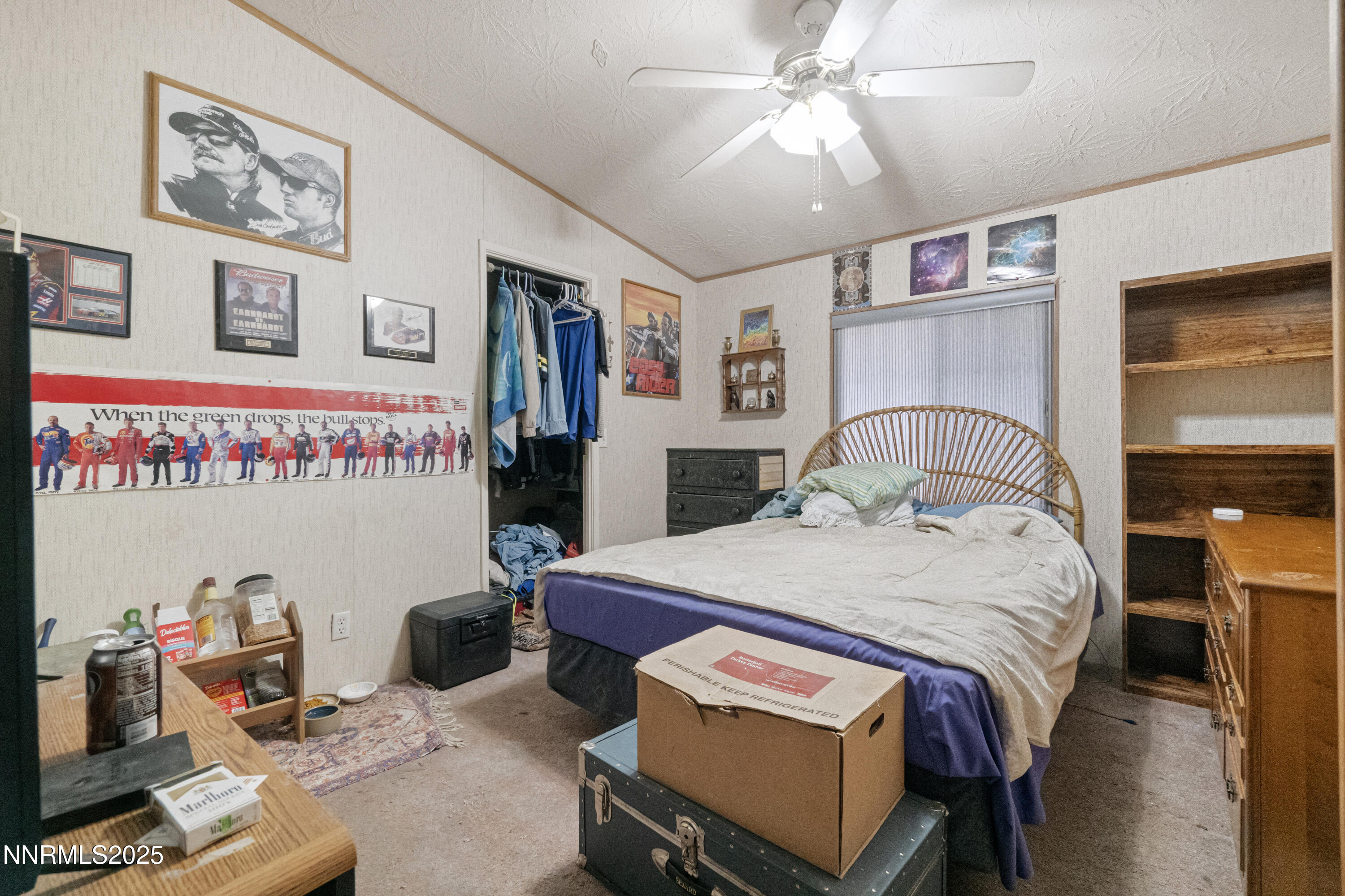 3790 Andesite Road Topaz Ranch Estates, NV 89444 - Photo 22 of 28 DSC05865