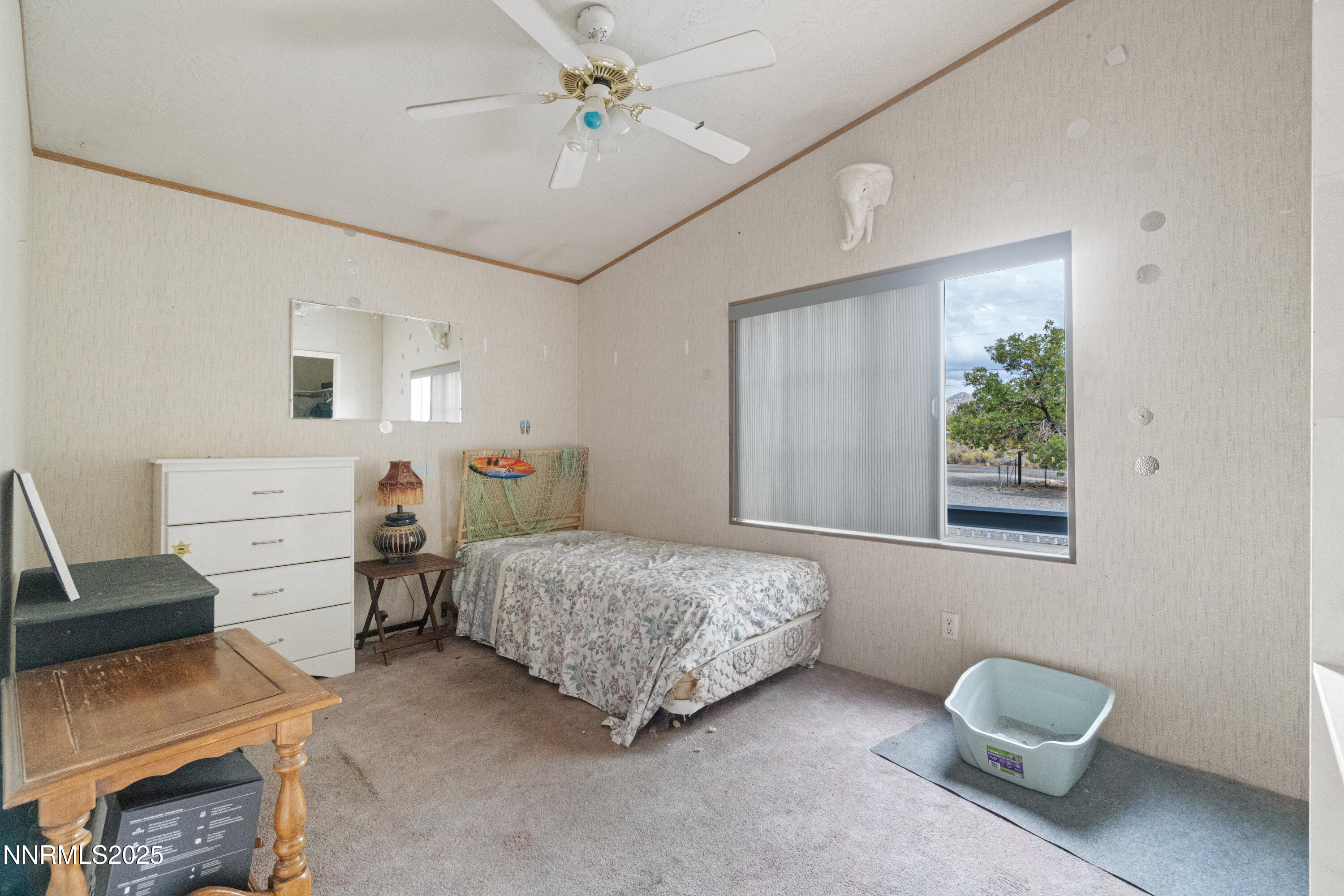 3790 Andesite Road Topaz Ranch Estates, NV 89444 - Photo 24 of 28 DSC05880-1