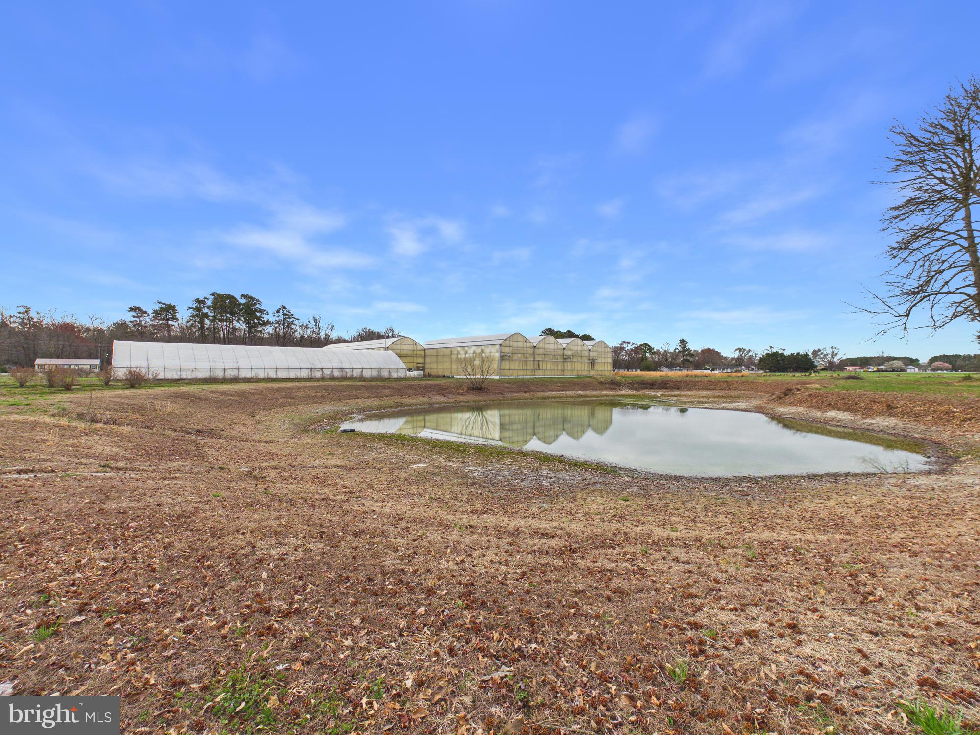 8416 Harmony Road Denton, MD 21629 - Photo 80 of 111 Pond Area