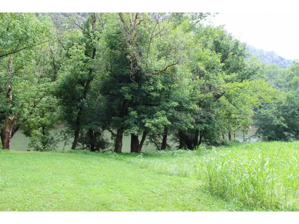 8388 Anglers Way Road Duffield, VA 24244 - Photo 11 of 11 8388 Anglers Way Road 1024x768