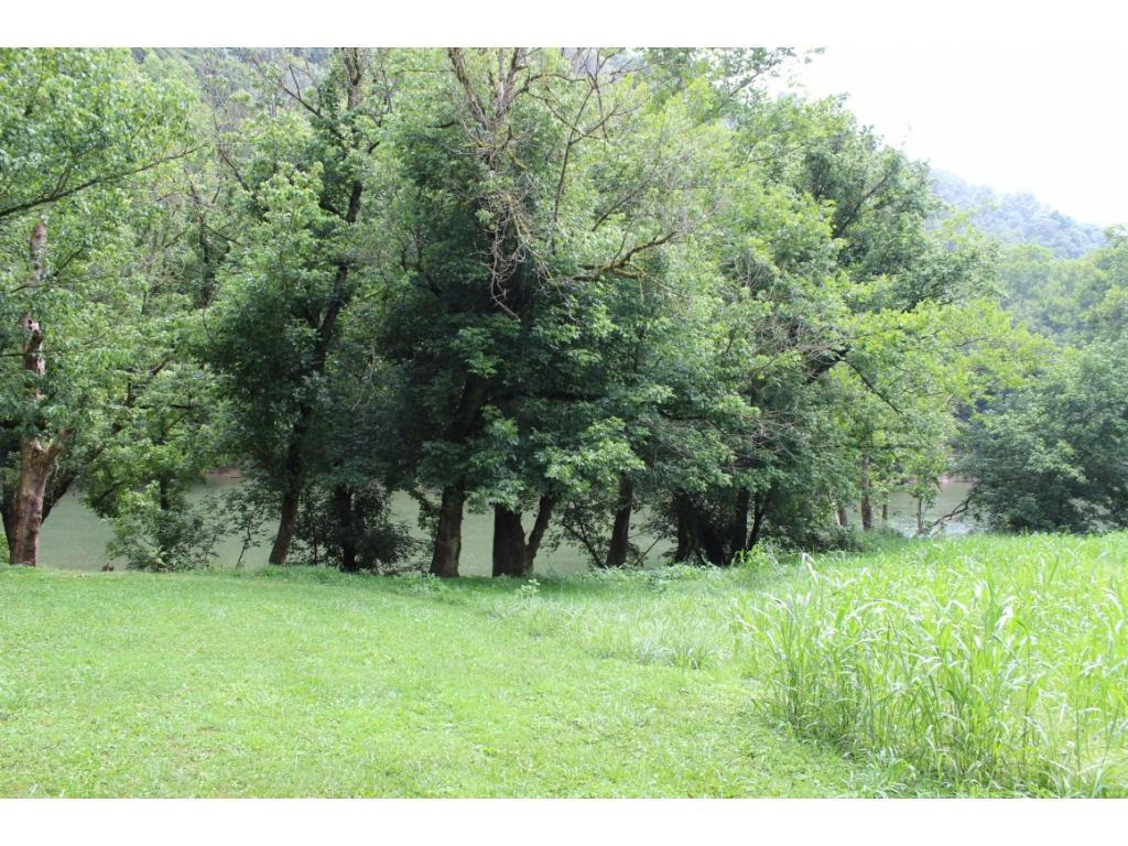 8388 Anglers Way Road Duffield, VA 24244 - Photo 5 of 11 5
