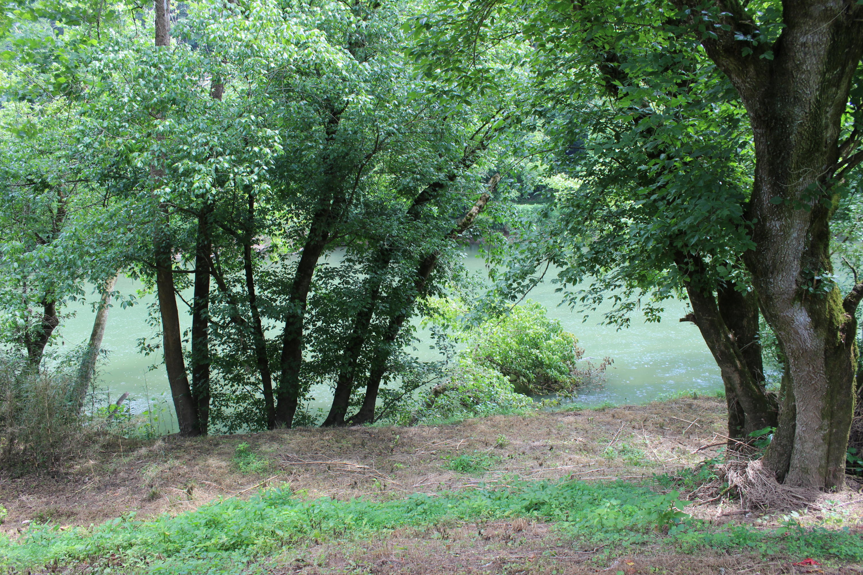 8388 Anglers Way Road Duffield, VA 24244 - Photo 10 of 11 8388 Anglers Way Road