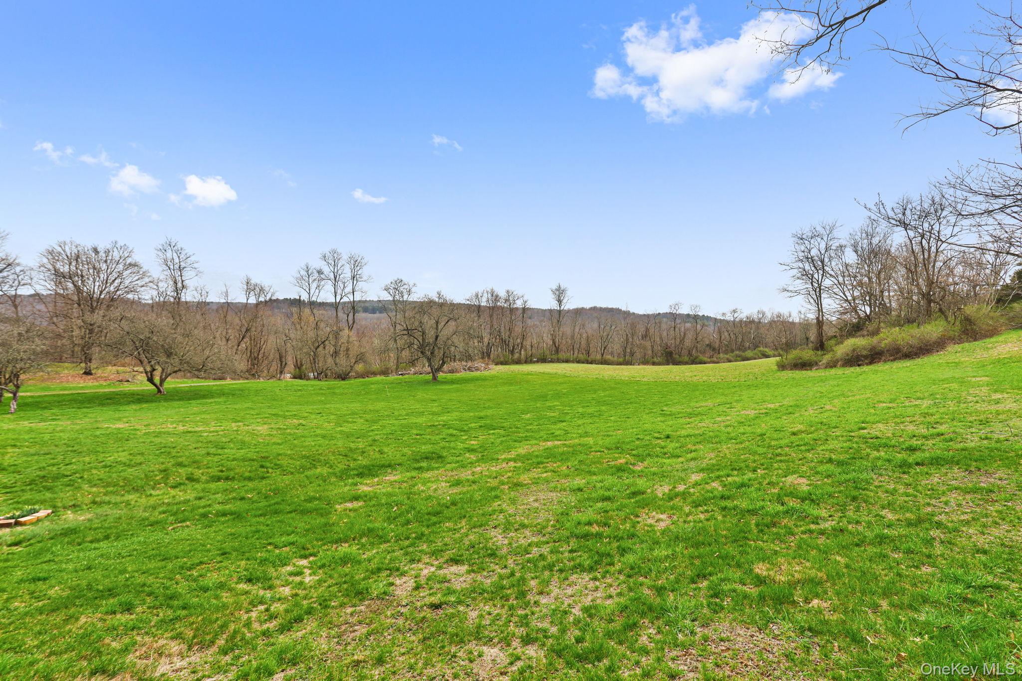 770 Gahbauer Road Hudson, NY 12534 - Photo 27 of 39 a view of yard with swimming pool and green space