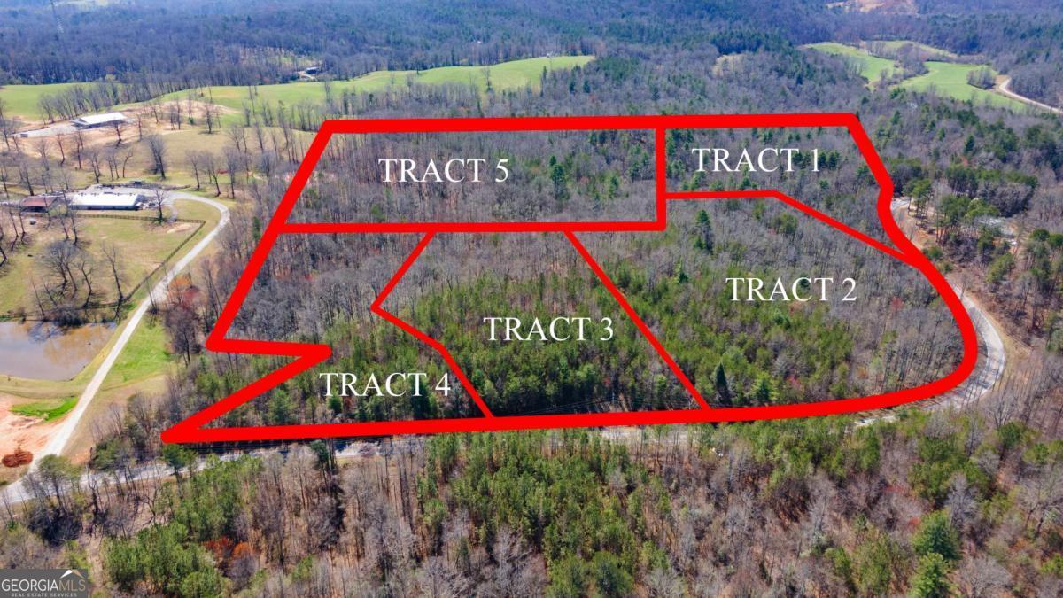 0 Afton Road, Unit 2 Marble Hill, GA 30534 - Photo 3 of 22