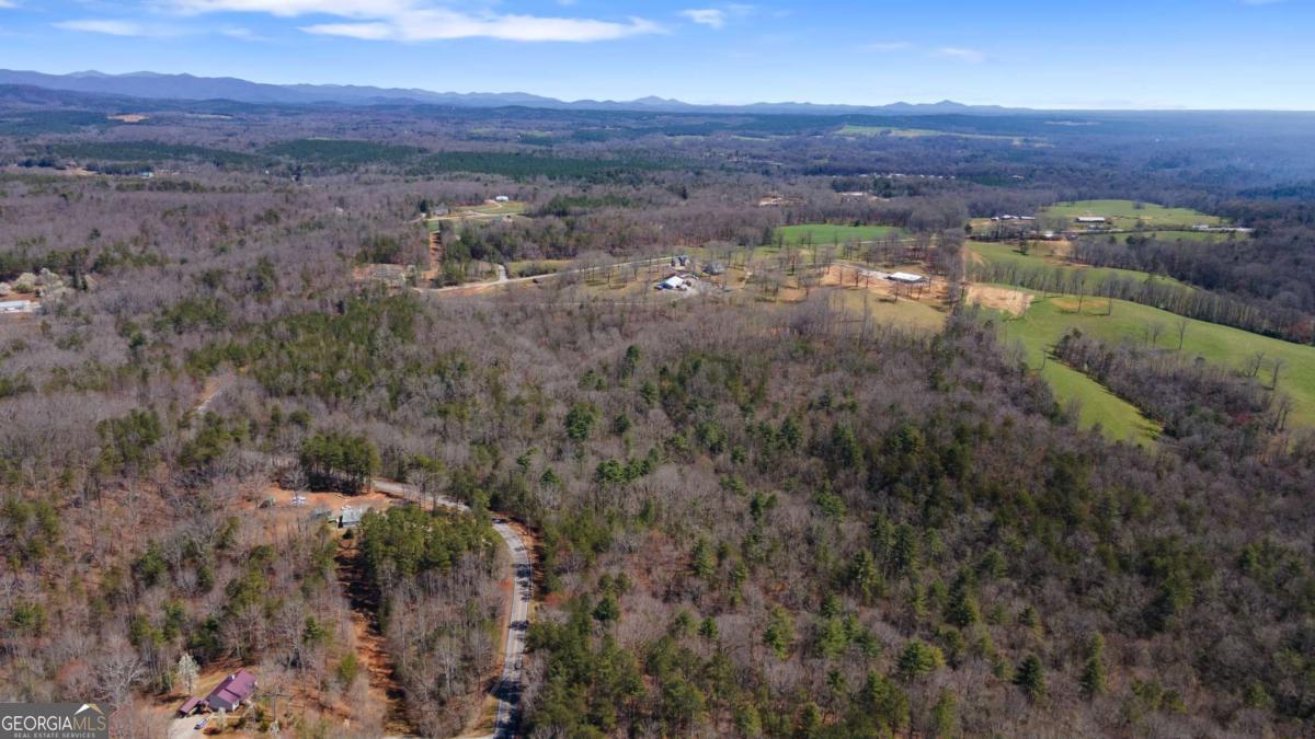 0 Afton Road, Unit 2 Marble Hill, GA 30534 - Photo 10 of 22