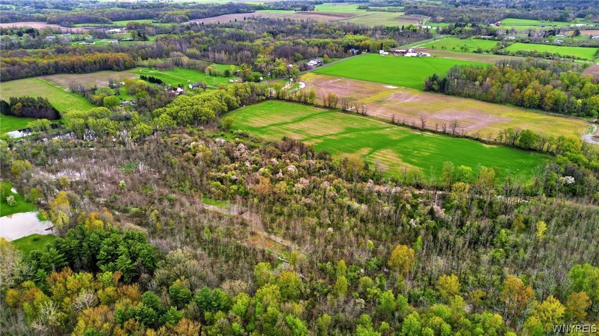Beaver Road Alexander, NY 14005 - Photo 11 of 28