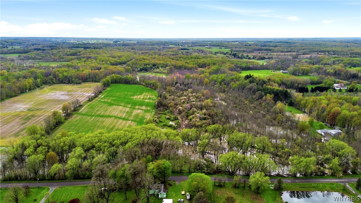 Beaver Road Alexander, NY 14005 - Photo 13 of 28