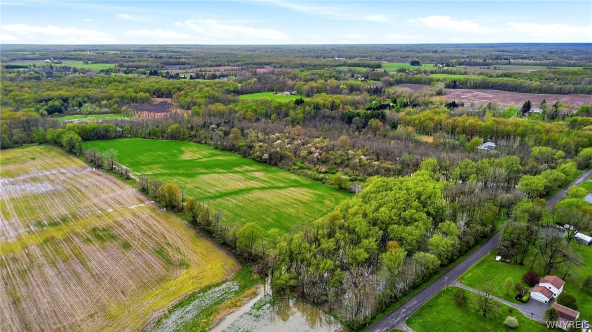 Beaver Road Alexander, NY 14005 - Photo 14 of 28