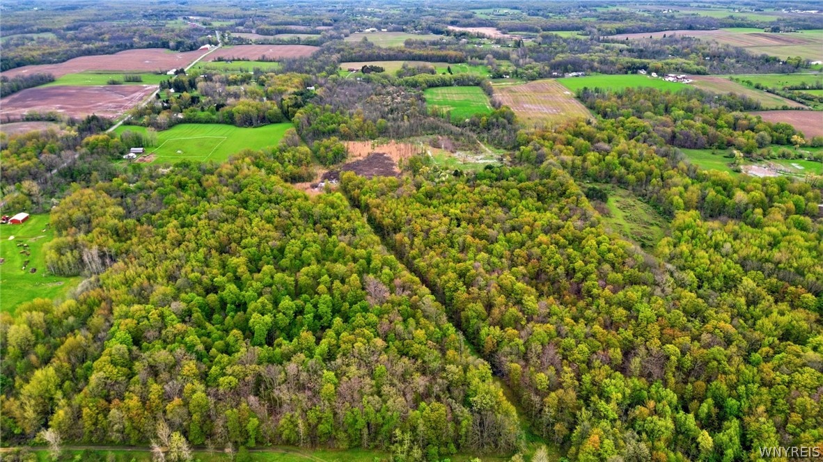 Beaver Road Alexander, NY 14005 - Photo 15 of 28