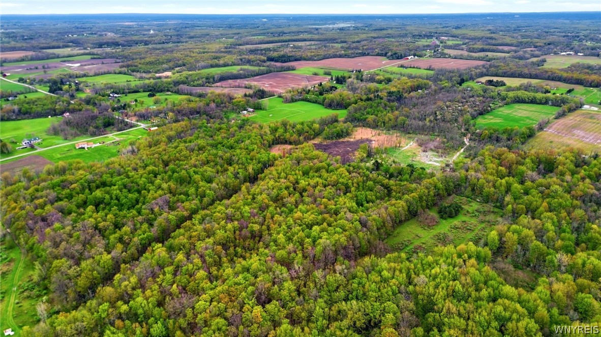 Beaver Road Alexander, NY 14005 - Photo 17 of 28