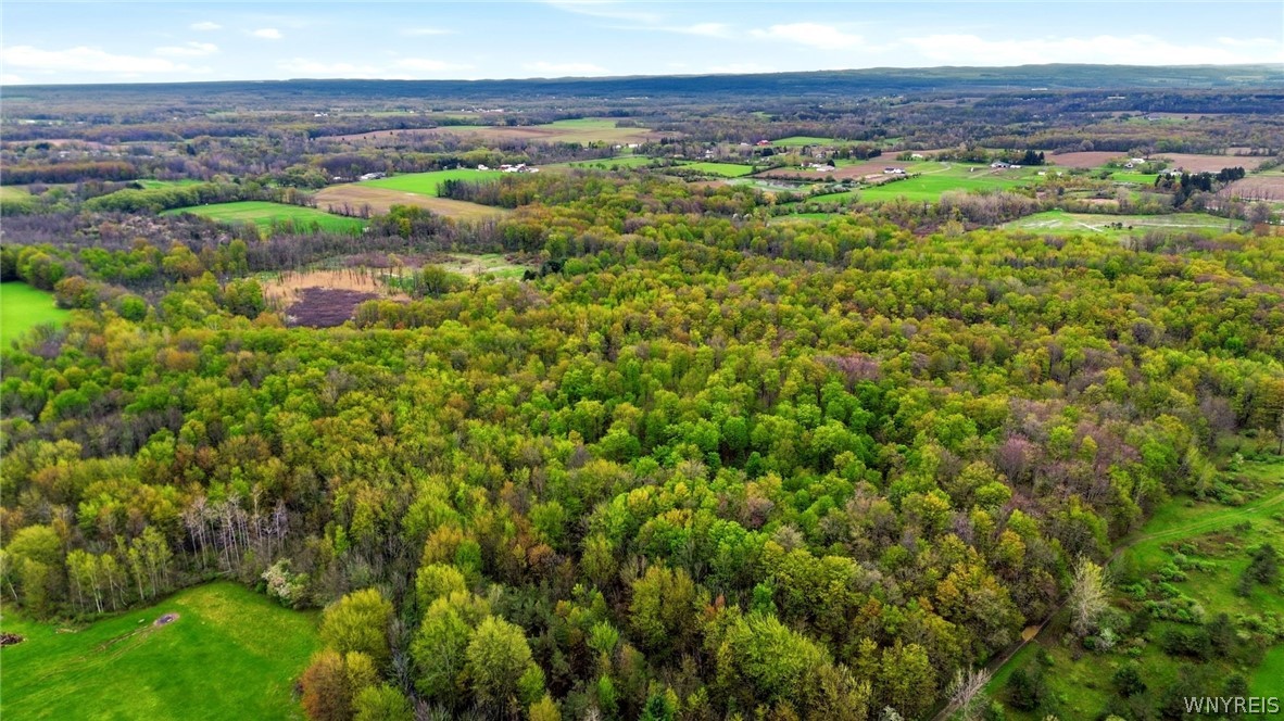 Beaver Road Alexander, NY 14005 - Photo 20 of 28