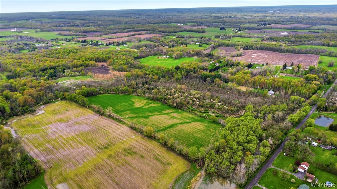 Beaver Road Alexander, NY 14005 - Photo 2 of 28