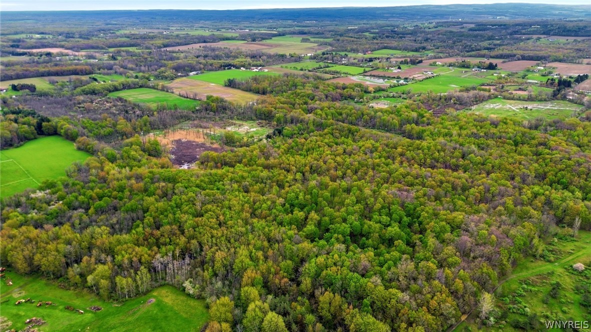 Beaver Road Alexander, NY 14005 - Photo 21 of 28