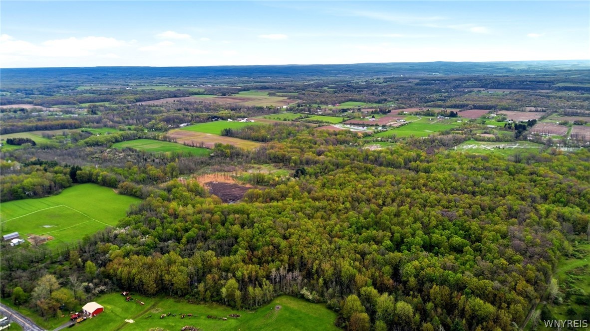 Beaver Road Alexander, NY 14005 - Photo 22 of 28