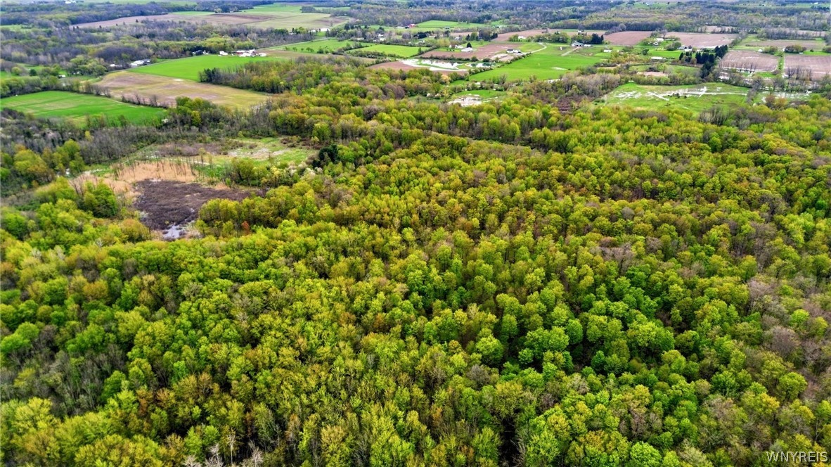 Beaver Road Alexander, NY 14005 - Photo 23 of 28