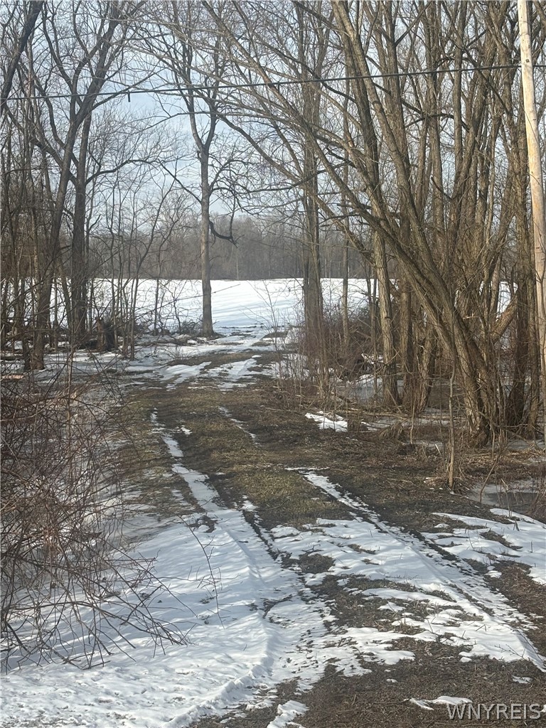 Beaver Road Alexander, NY 14005 - Photo 26 of 28