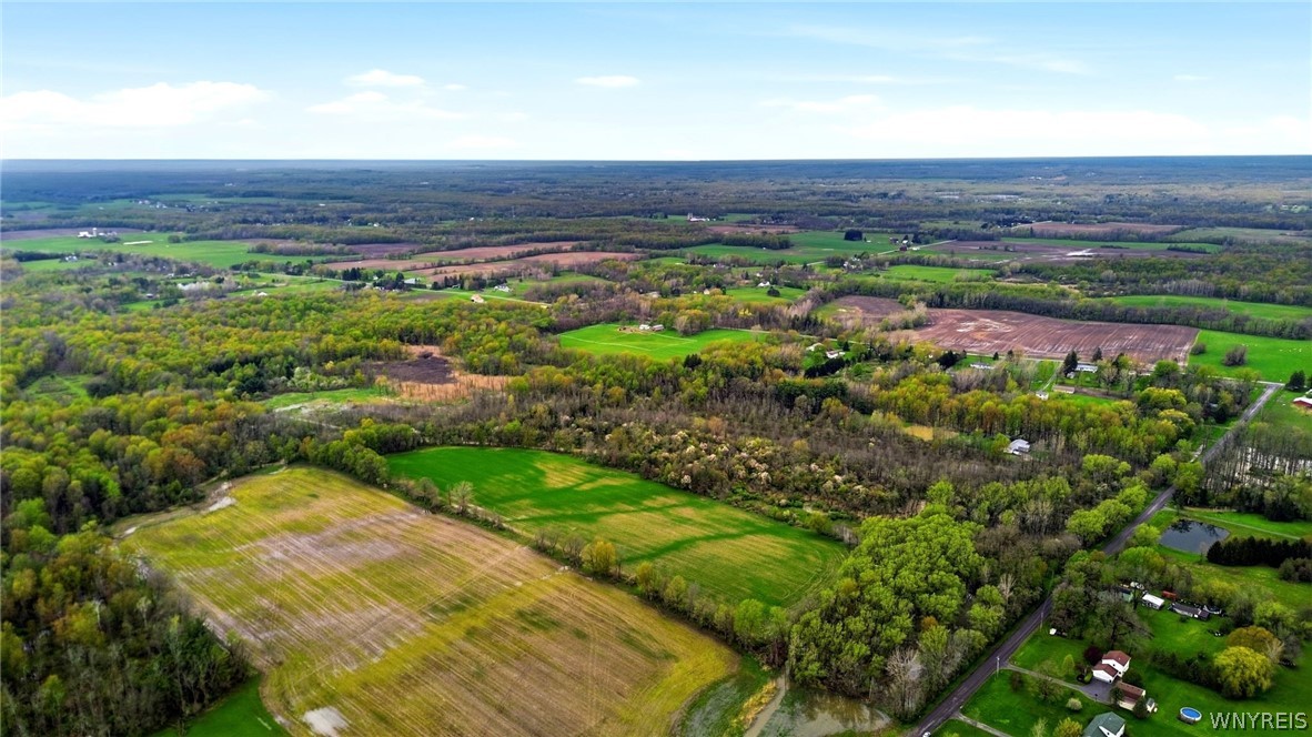 Beaver Road Alexander, NY 14005 - Photo 3 of 28