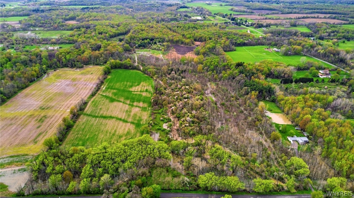 Beaver Road Alexander, NY 14005 - Photo 4 of 28