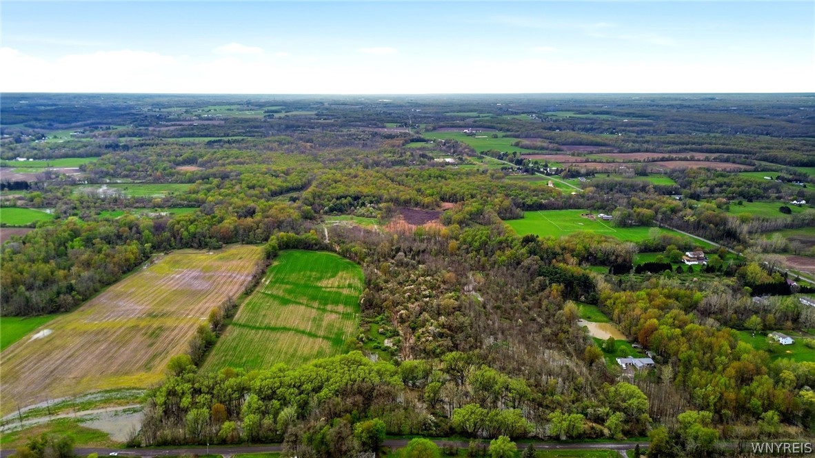 Beaver Road Alexander, NY 14005 - Photo 5 of 28