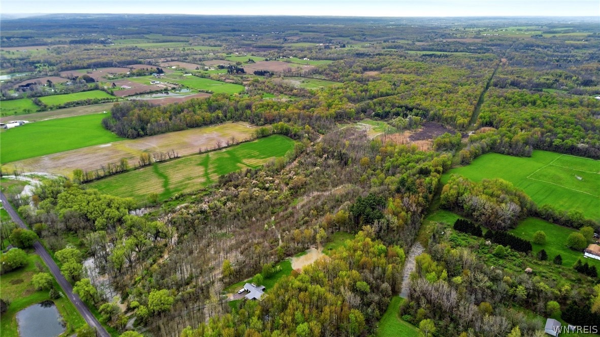 Beaver Road Alexander, NY 14005 - Photo 6 of 28