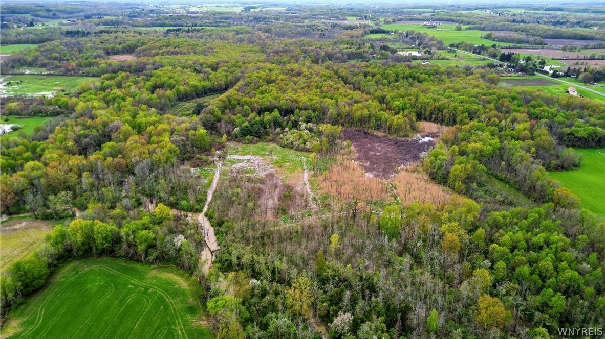 Beaver Road Alexander, NY 14005 - Photo 9 of 28