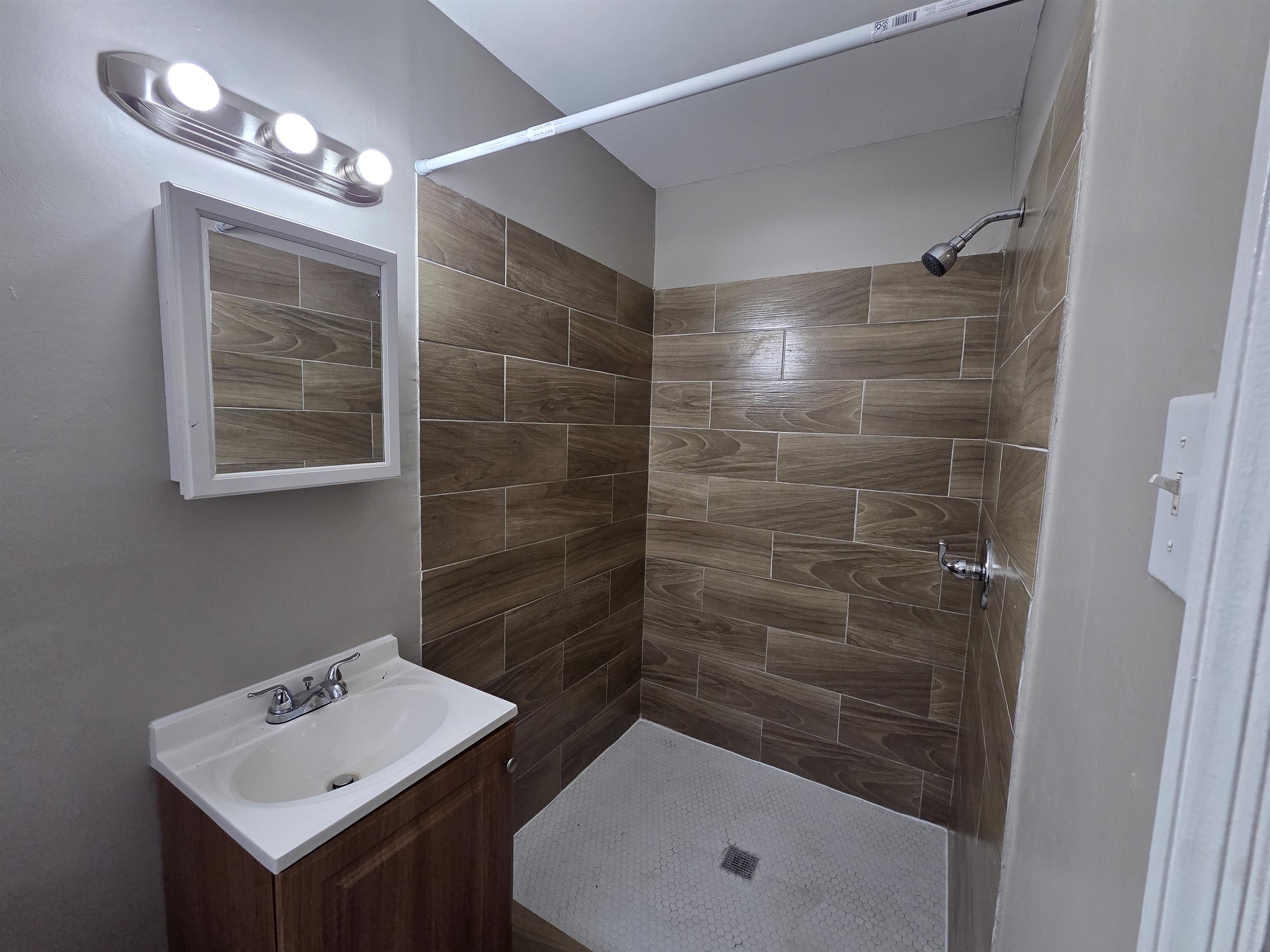3602 Gowan Drive Memphis, TN 38127 - Photo 14 of 20 a bathroom with a shower a sink and a mirror