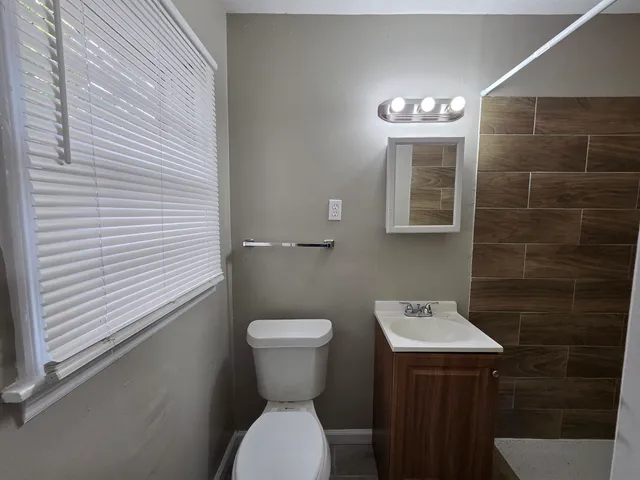 a bathroom with a toilet a sink and mirror