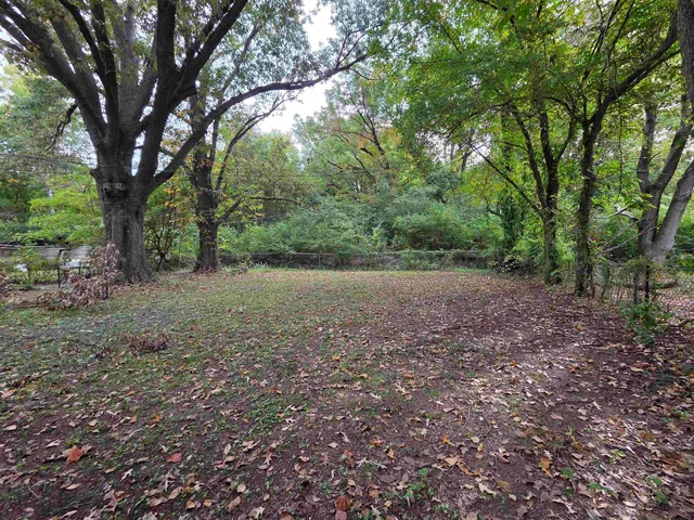 a view of a yard with a tree