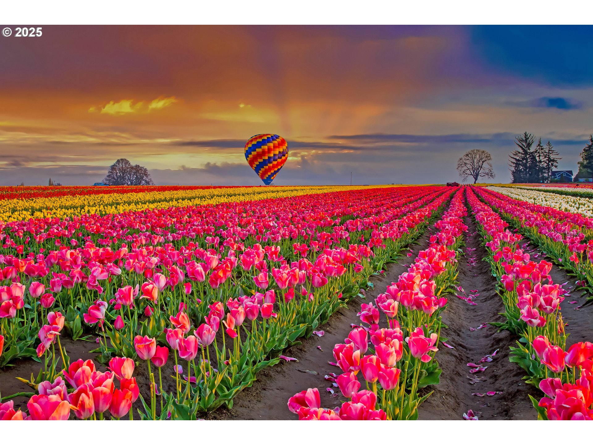 720 Merriott Lane Woodburn, OR 97071 - Photo 18 of 23