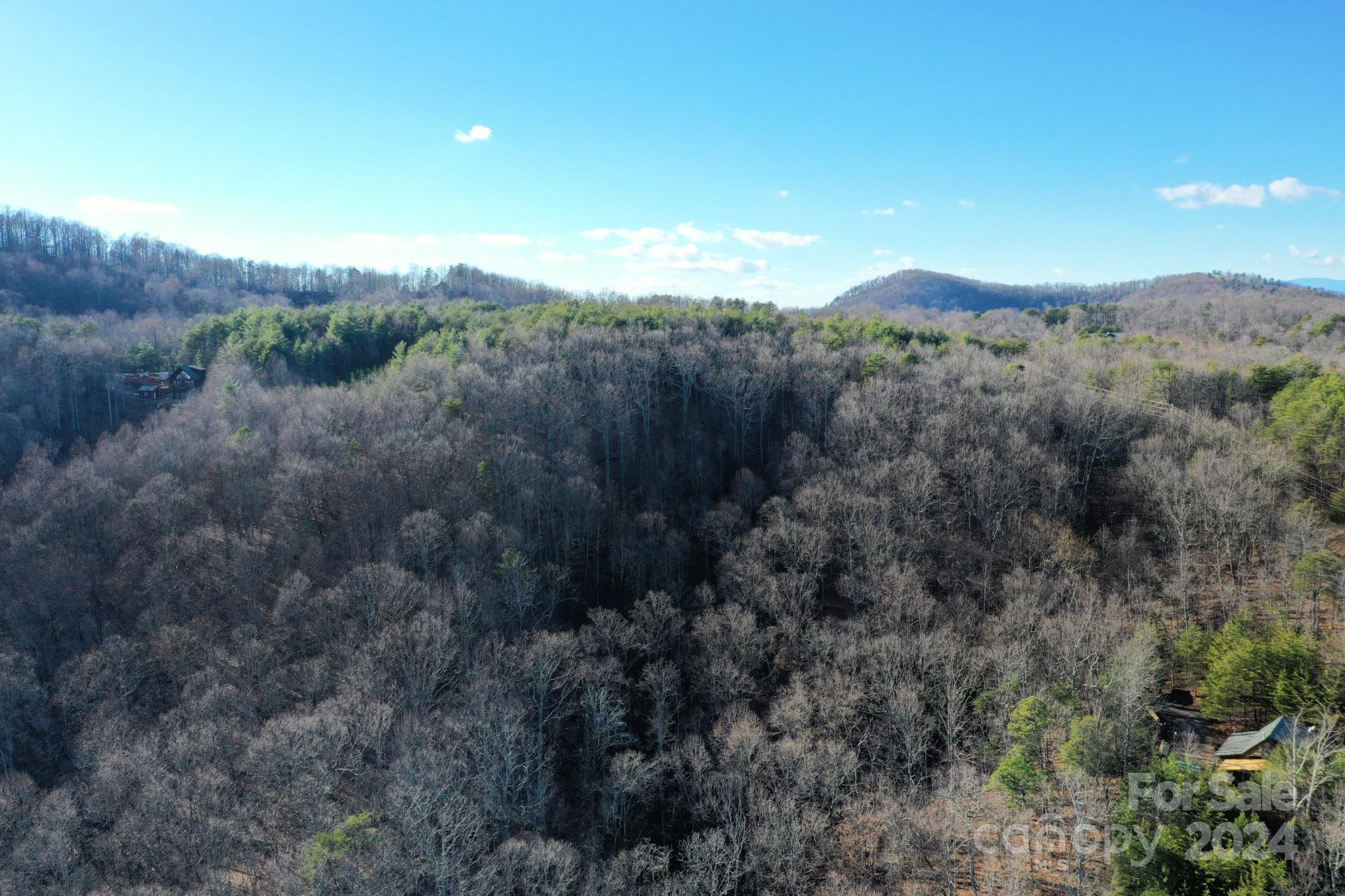0 Fire Tower Road, Unit 17 Bostic, NC 28018 - Photo 6 of 10 Gallery Image 6