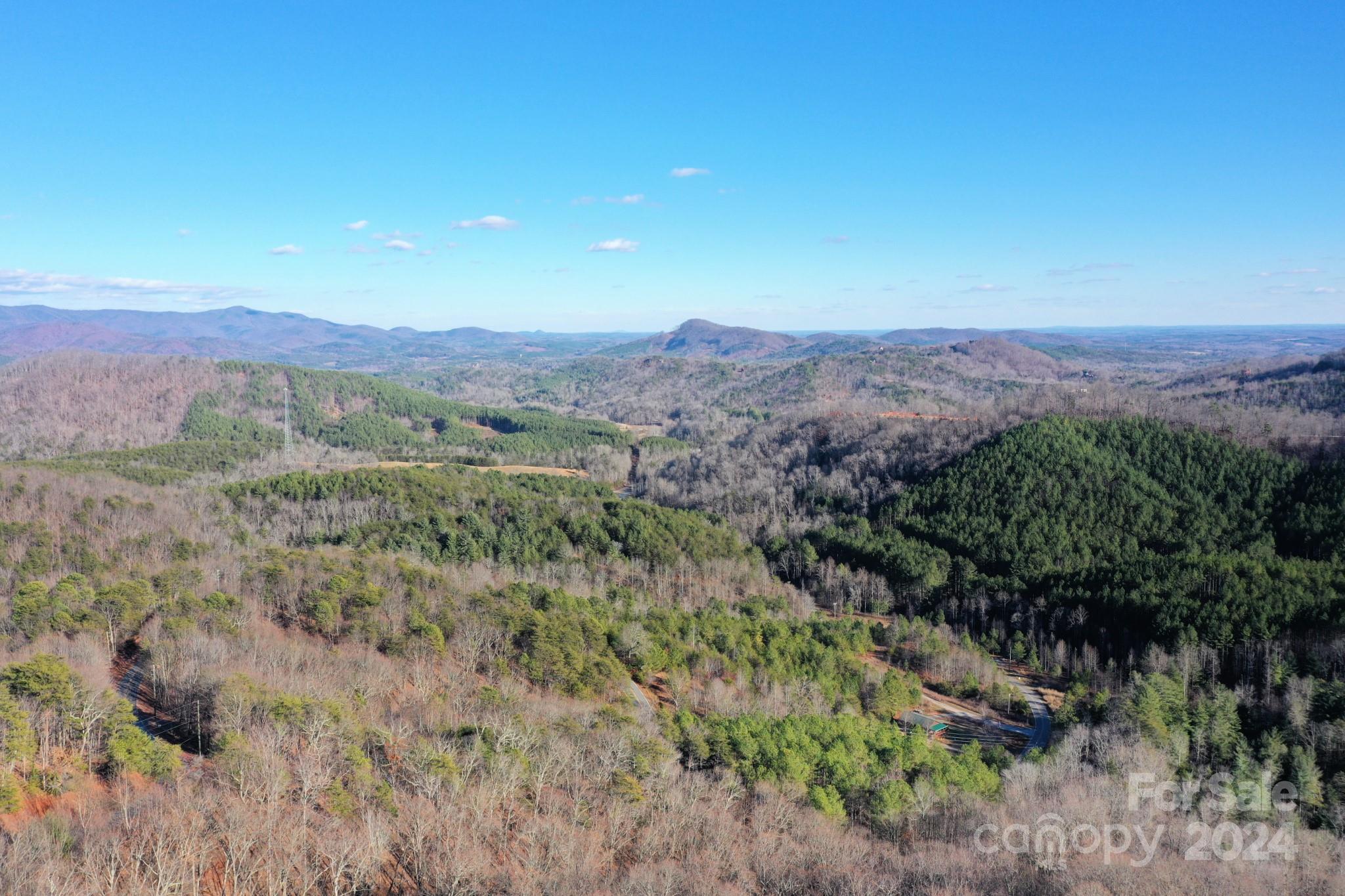 0 Fire Tower Road, Unit 17 Bostic, NC 28018 - Photo 7 of 10 Gallery Image 7