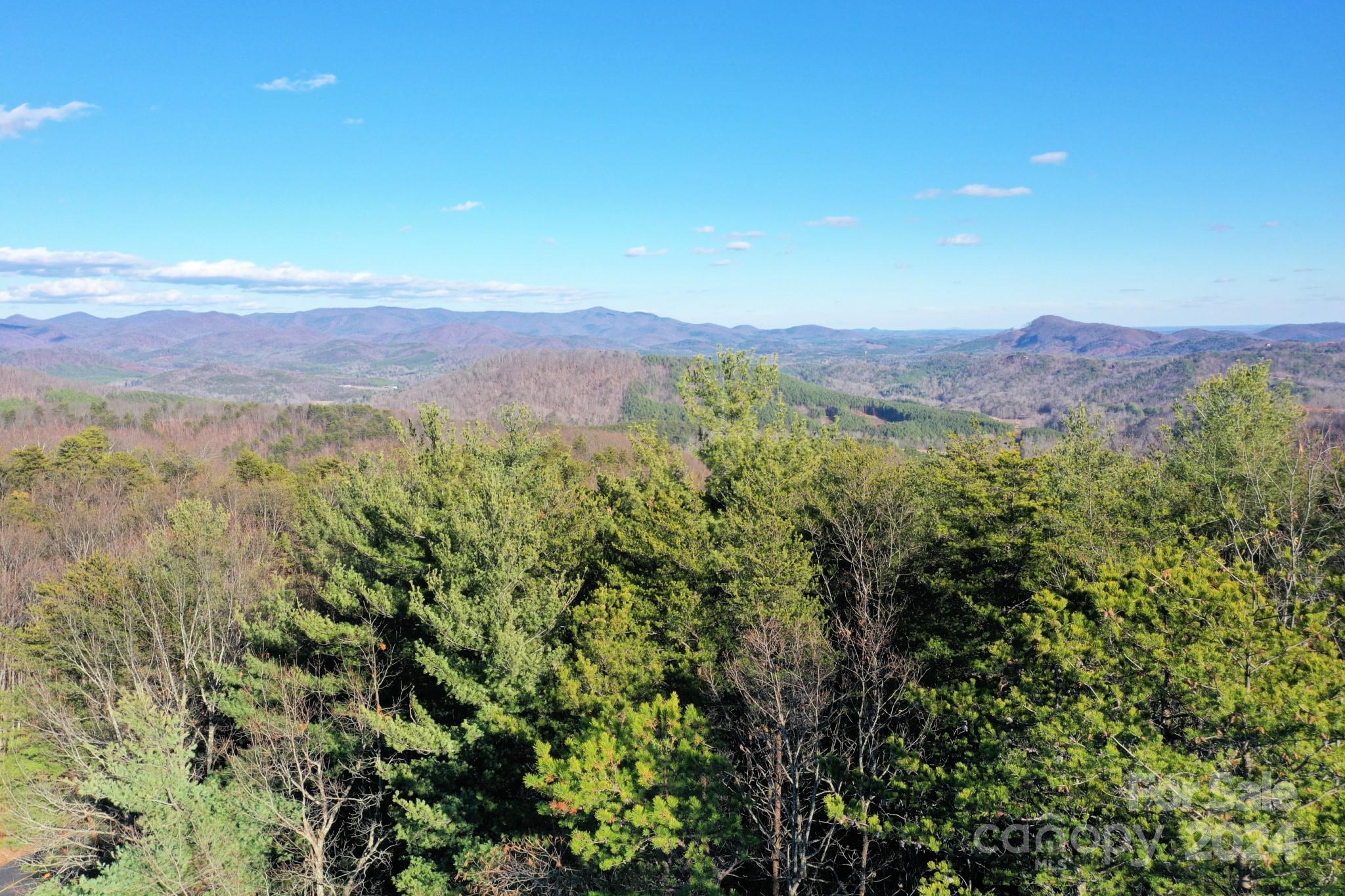 0 Fire Tower Road, Unit 17 Bostic, NC 28018 - Photo 8 of 10 Gallery Image 8