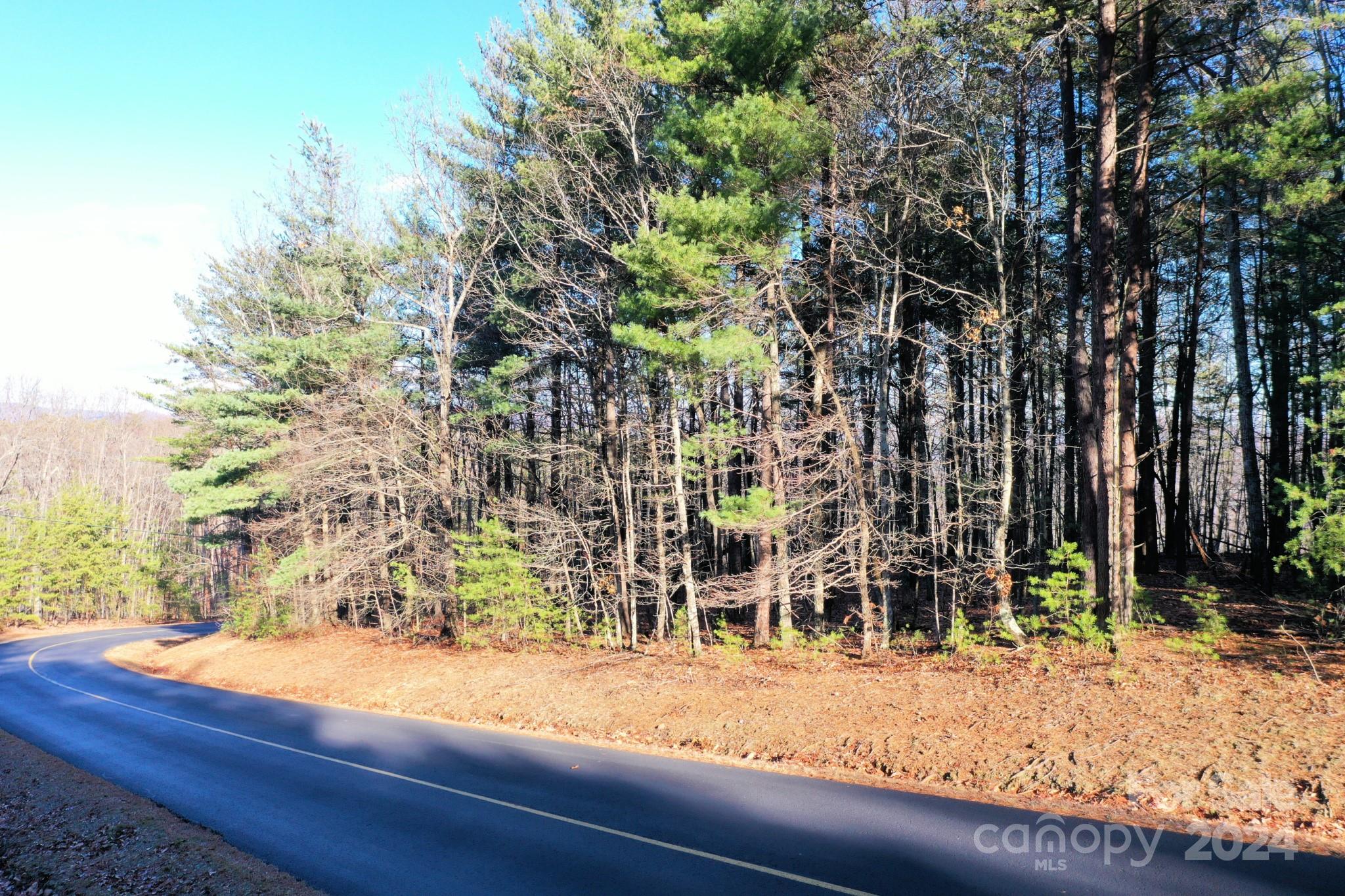 0 Fire Tower Road, Unit 17 Bostic, NC 28018 - Photo 9 of 10 Gallery Image 9