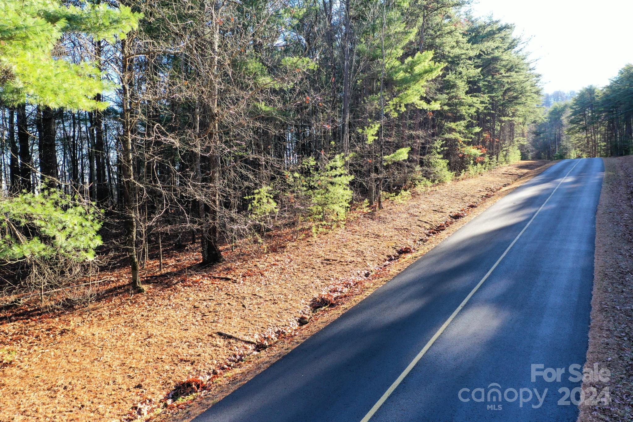 0 Fire Tower Road, Unit 17 Bostic, NC 28018 - Photo 10 of 10 Gallery Image 10