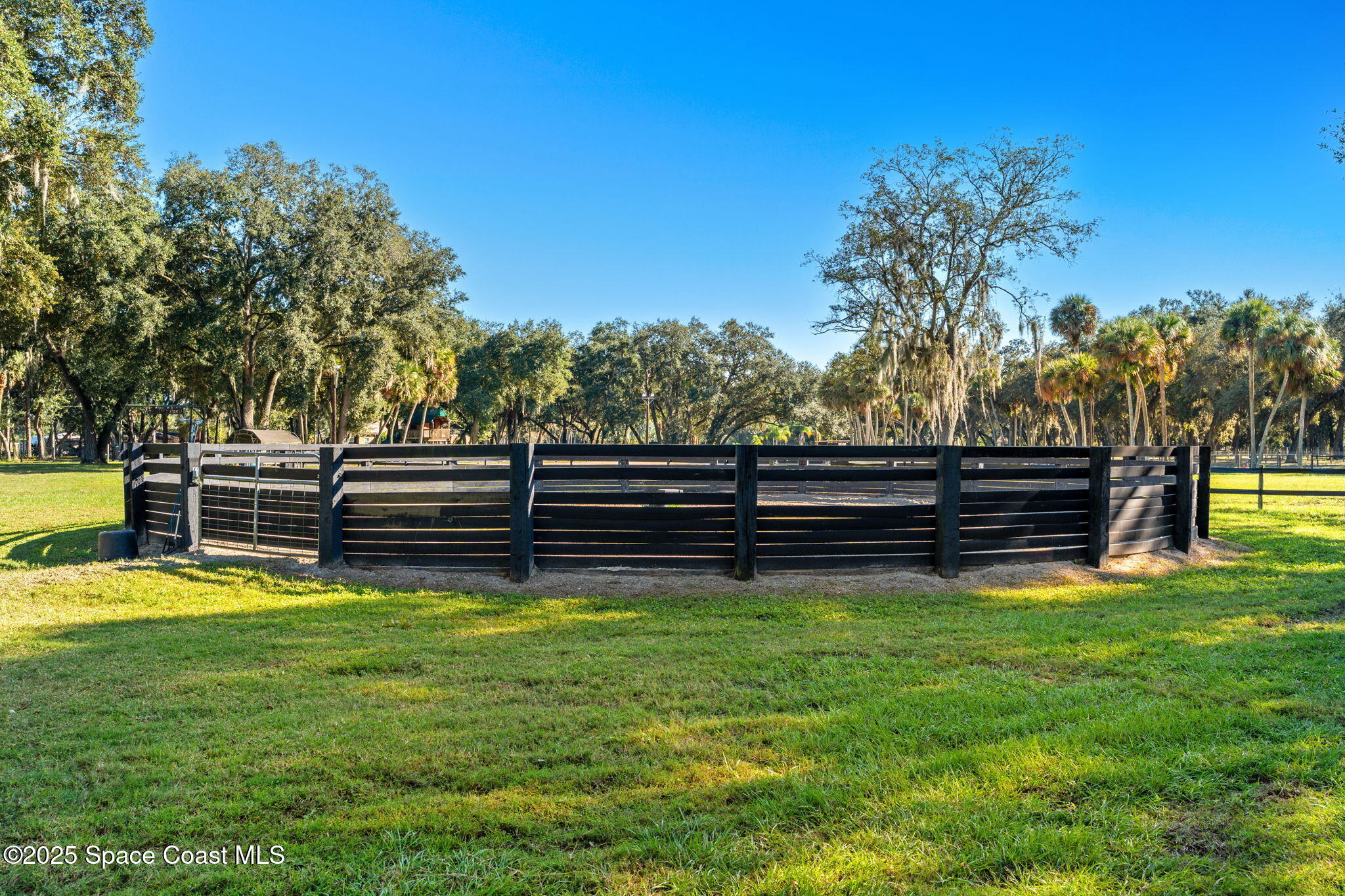 4630 James Road Cocoa, FL 32926 - Photo 11 of 58 a view of a swimming pool with a yard and large trees