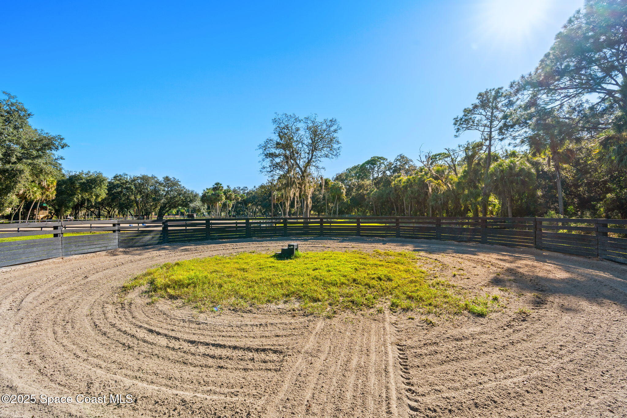 4630 James Road Cocoa, FL 32926 - Photo 12 of 58 a view of swimming pool with a yard